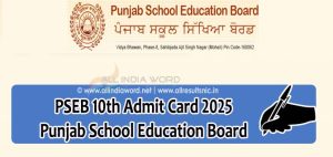 Punjab Board 10th Class Admit Card 2025 Download PDF