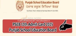 Punjab Board 12th Class Admit Card 2025 Download PDF